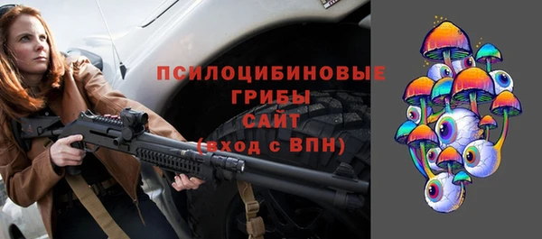 соль ск Михайлов