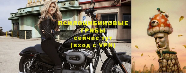 ешки Михайловка