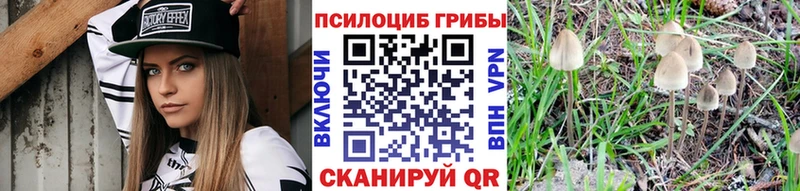 Псилоцибиновые грибы прущие грибы  OMG ссылки  Полтавская  купить наркотики сайты 